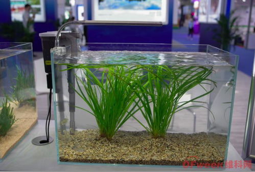 來高交會(huì),見證環(huán)?？萍夹铝α? class=