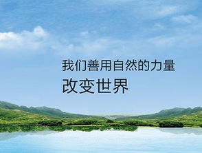環?？萍季W站制作案例 沙漠風網站建設公司